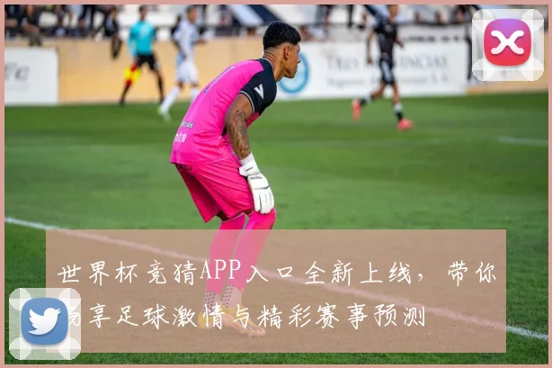 世界杯竞猜APP入口全新上线，带你畅享足球激情与精彩赛事预测