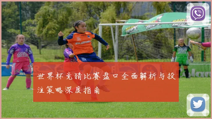 世界杯竞猜比赛盘口全面解析与投注策略深度指南